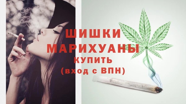 дмт Белокуриха