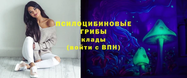 дмт Белокуриха