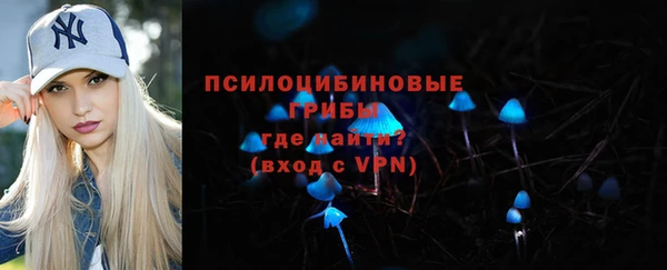 дмт Белокуриха