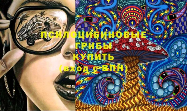 бошки Беломорск
