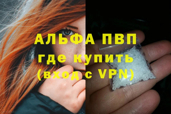 дмт Белокуриха