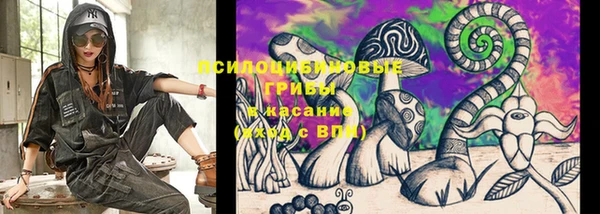 дмт Белокуриха