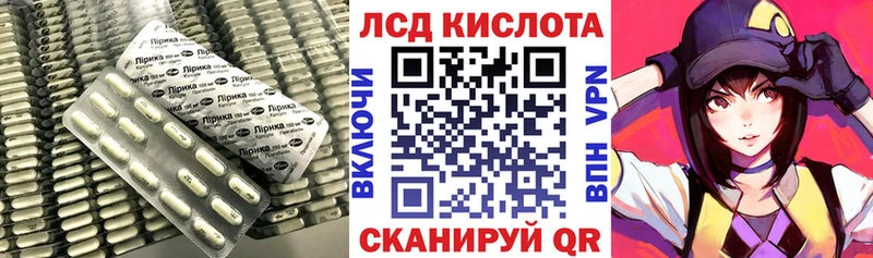 KRAKEN tor  цены наркотик  Снежногорск  Лсд 25 экстази кислота 